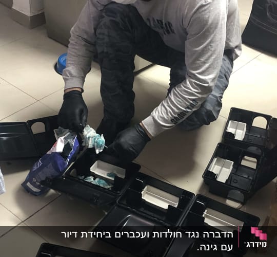 אדם עם מסכה וכפפות מכין מלכודות מזיקים על הרצפה
